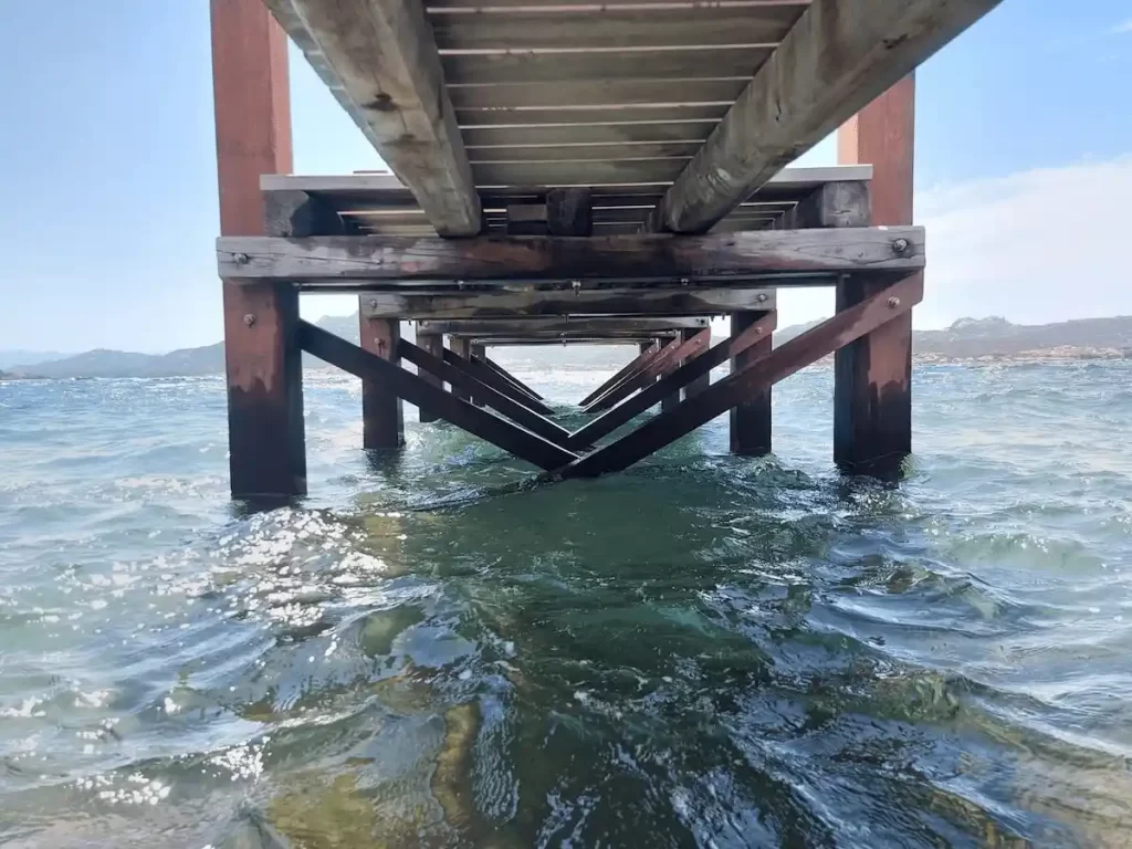 PHOTO 2025 05 05 22 42 52 2 1024x768