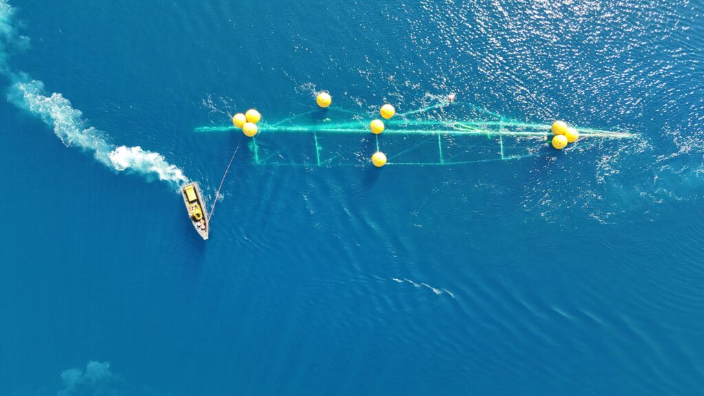 PHOTO 2025 06 25 11 10 20 1024x576