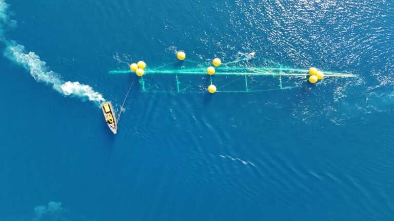 PHOTO 2025 06 25 11 10 20 768x432